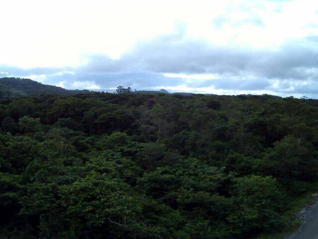 Terreno para Venda em São Francisco do Sul - 4