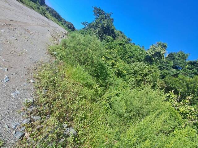 Terreno para Venda em São Francisco do Sul - 5