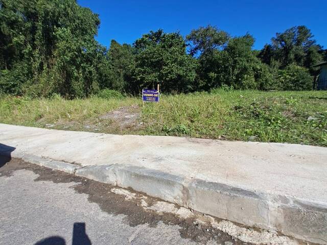 #38 - Terreno para Venda em São Francisco do Sul - SC