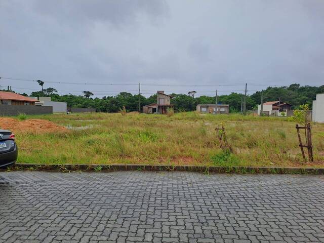 #42 - Terreno para Venda em São Francisco do Sul - SC
