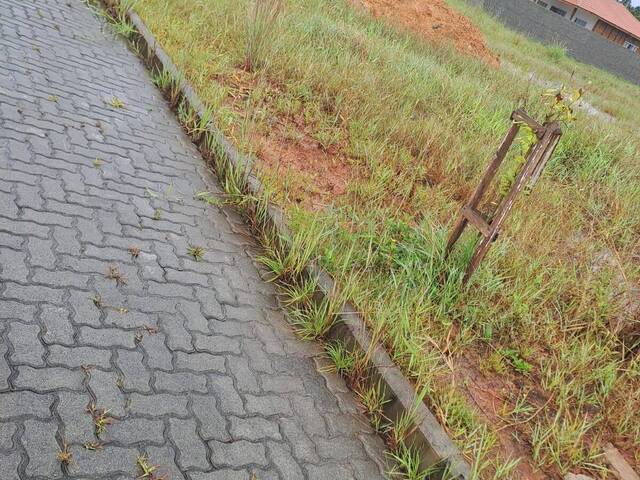 Terreno para Venda em São Francisco do Sul - 4